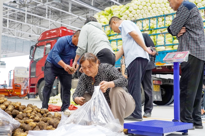 中國農批宿遷市場盛大開業，新鮮食材與水果零售引領健康生活新風尚